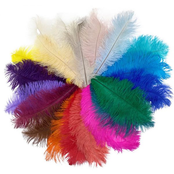 Feathers Drabs Ostrich Feathers (FIRST GRADE) 27cm – 32cm