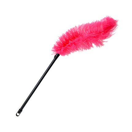 Feathers Misc Ostrich Feather Cat Wand