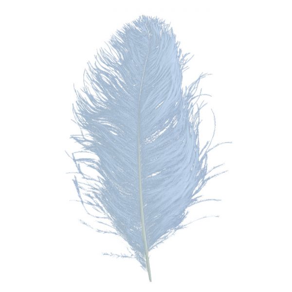 Feathers Wing Plumes Ostrich 375-425mm