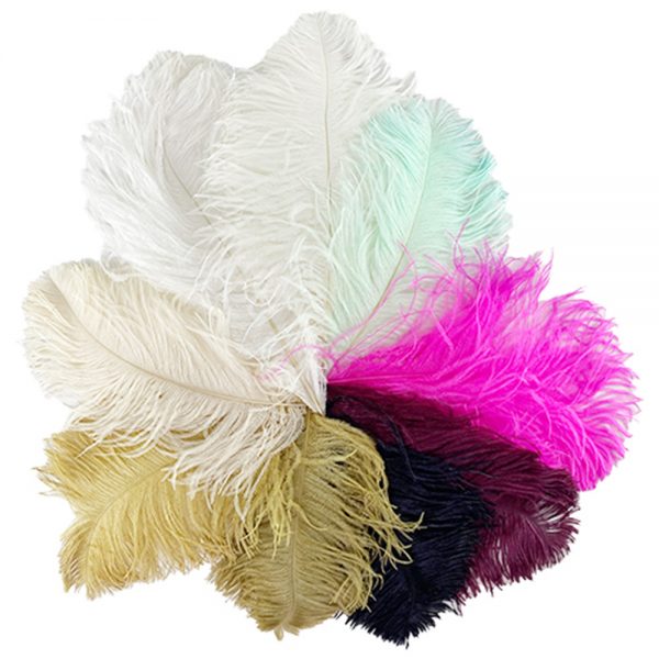 Feathers Wing Plumes Ostrich (FIRST GRADE) 27cm – 32cm