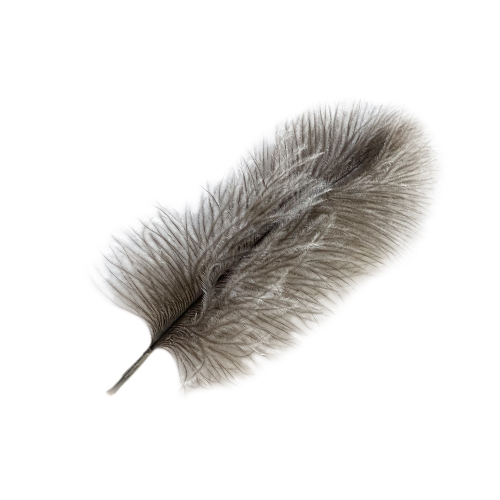 Feathers Soft Grey Floss Ostrich Feathers