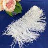 Wing Plume Feathers White Wing Plumes 35cm – 40cm