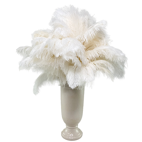 Display Dusters Premium White Feather Duster Display 65gm