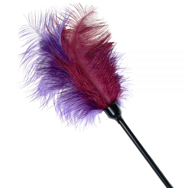 Cat Toys Robust Feather Cat Toy