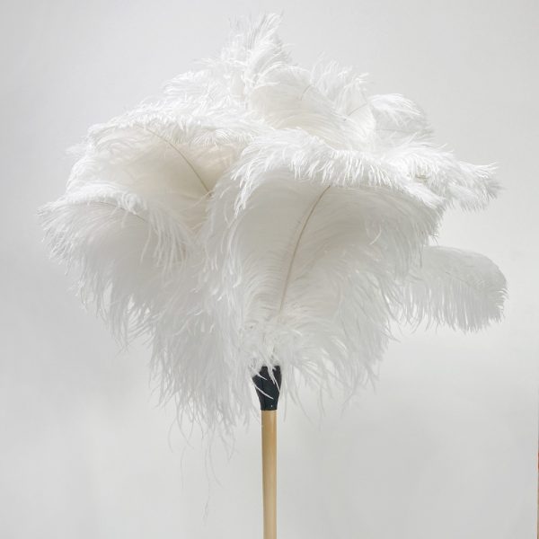 Display Dusters Luxurious Feather Display with Wooden Handle