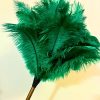 Display Dusters Green Feather Display Decor