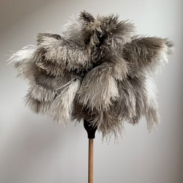 Feather duster review
